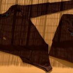 بادی یقه گرد قهوه ای